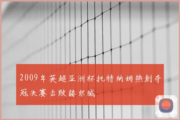 2009年英超亚洲杯托特纳姆热刺夺冠决赛击败赫尔城