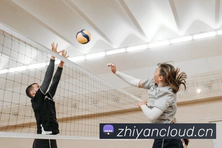 App Interface Preview